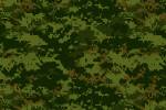 CAD Camo