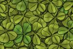 Clovers