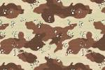 Desert Camo