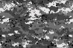 Digital Urban Camo