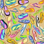 Flip Flops