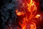 Flower Of Fire