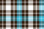 Turquoise Plaid