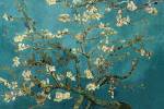 Blossoming Almond Tree