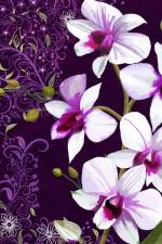 Violet Worlds
