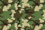 Woodland Camo