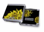 Golden Virii Game Boy Advance SP Skin